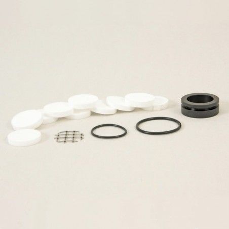 Set de filtros (10 unidades) para sonda de alfombra PRO